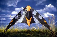 Lenkdrachen