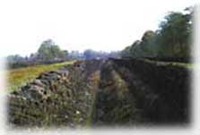Torfabbaugebiet in Papenburg
